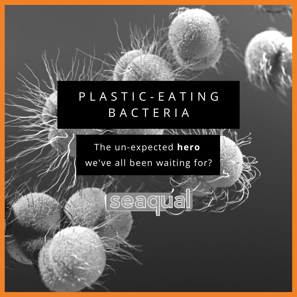 Plastic-Eating Bacteria: The Unexpected Hero We’ve All Been Waiting For?